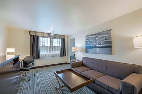 Suite-1 King Bed - Non-Smoking, Sofabed, 2 Flat Screen Tvs, Living Room, Microwave And Mini-Refrigerator, 2 Bathrooms, Full Breakfast