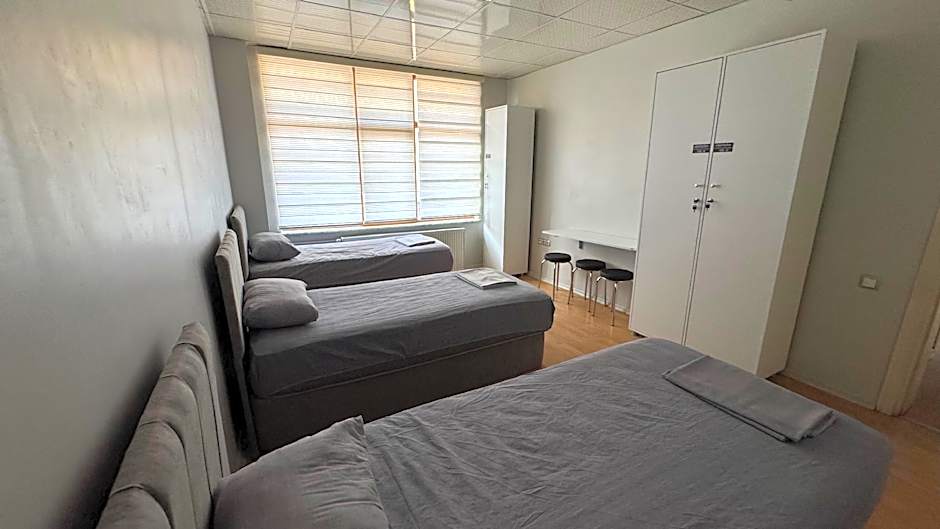 Hostelida