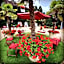 Manoir des Cavaliers - BnB