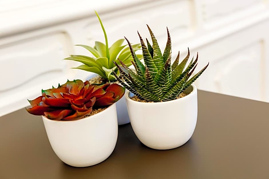 Best Western Plus Royal Superga Hotel