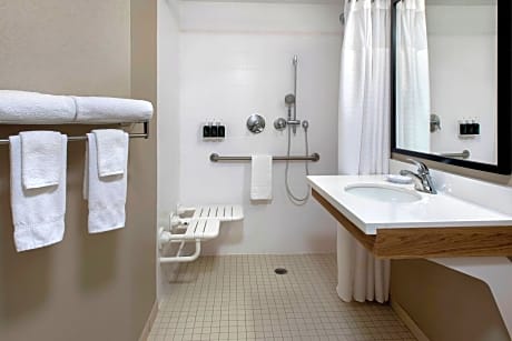 Suite, 1 Bedroom (1 King Bed and 1 Double Sofa Bed)