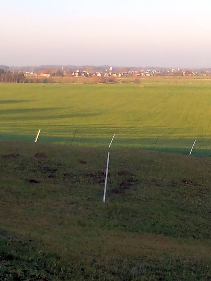 Hotel & Pension Aßmann