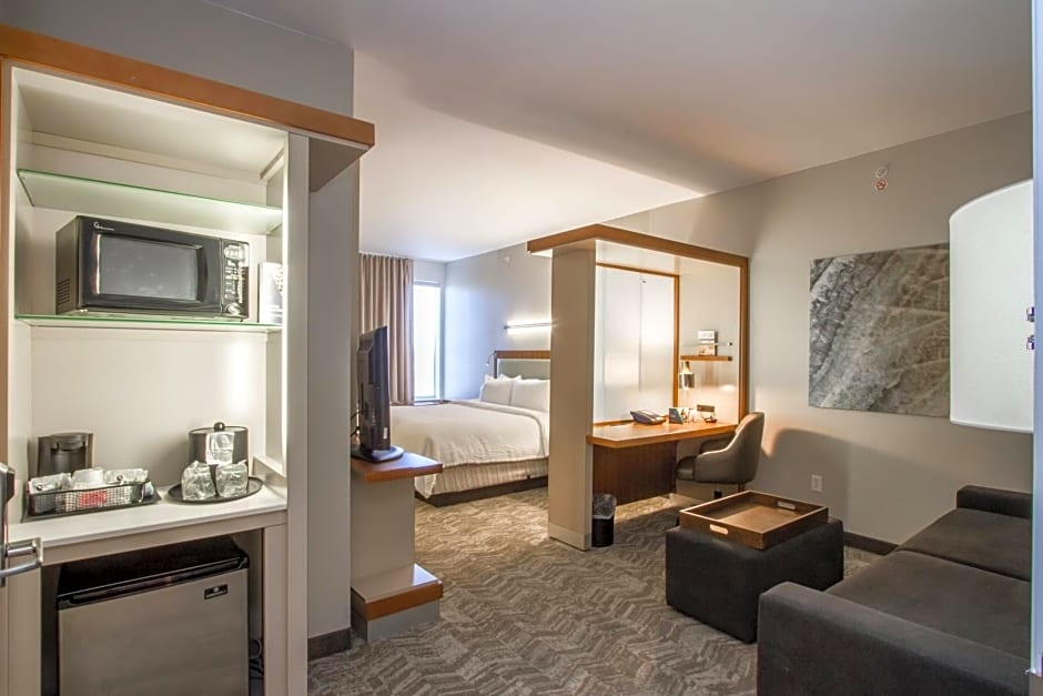 SpringHill Suites by Marriott San Angelo