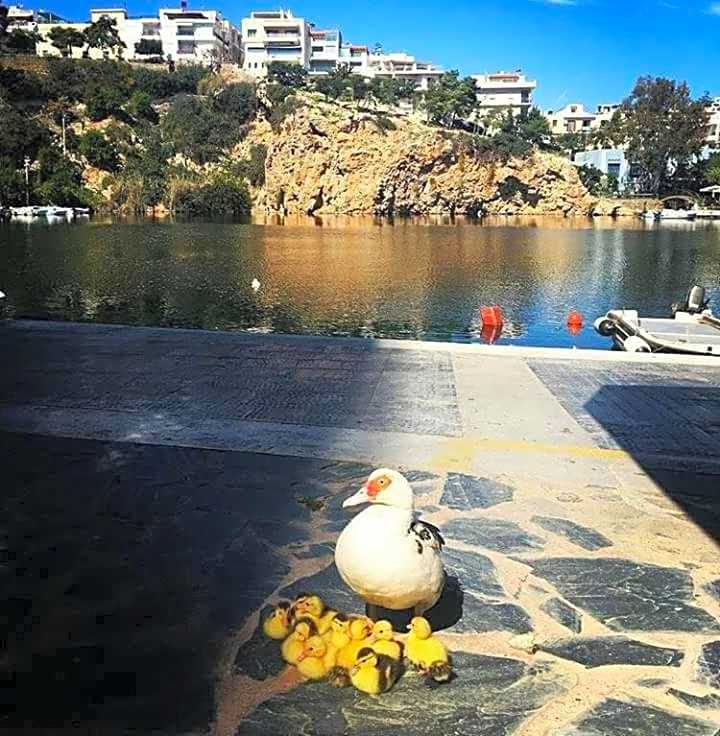 Naiades Marina Hotel