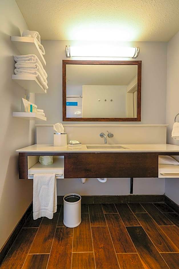 Hampton Inn By Hilton Brighton, MI