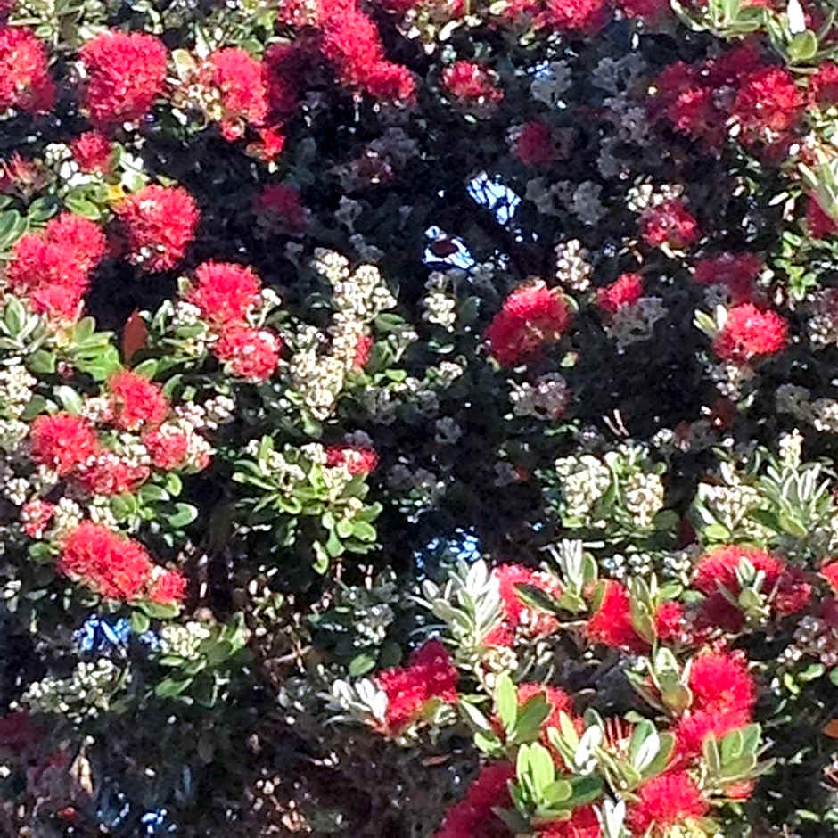 Seaport Village Holiday Accommodation