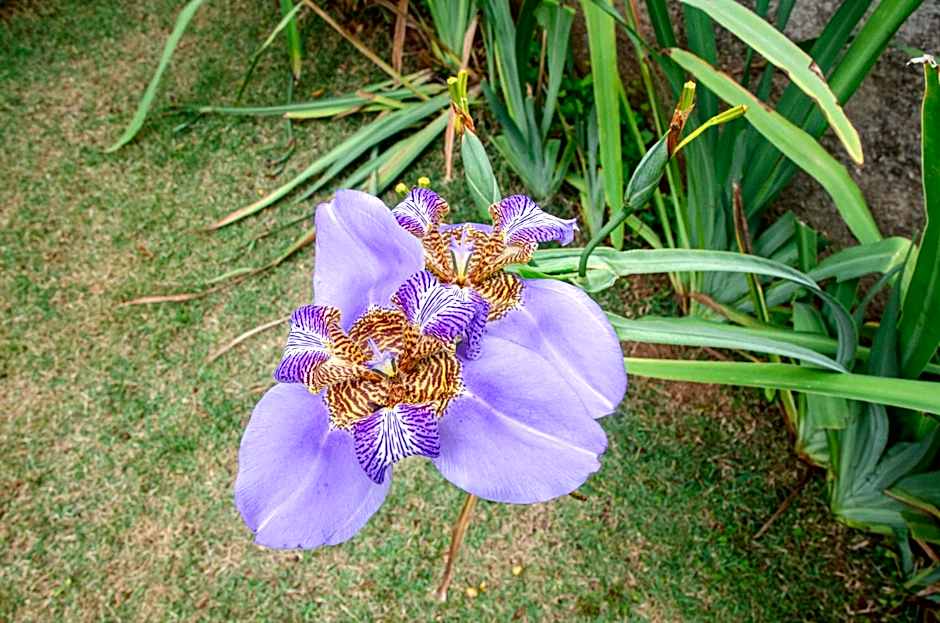 Pousada Quinta Do Conde