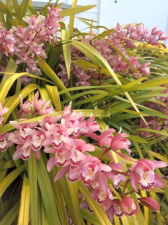 Arcadia Lodge Russell