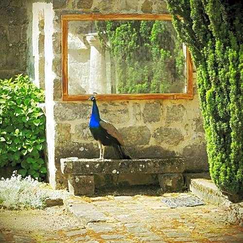 Domaine De Frevent