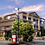 Best Western Plus Shamrock Inn & Suites
