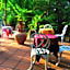 Baifern Homestay
