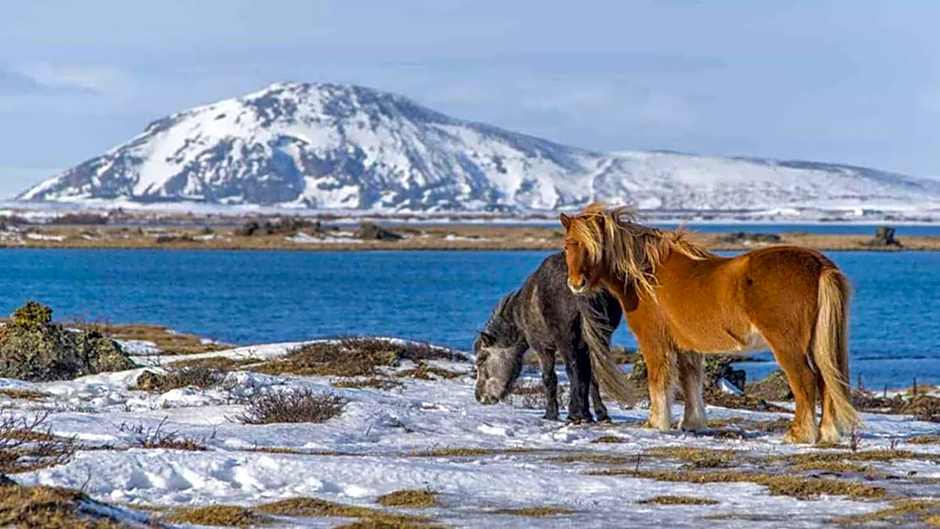 Mývatn - Berjaya Iceland Hotels