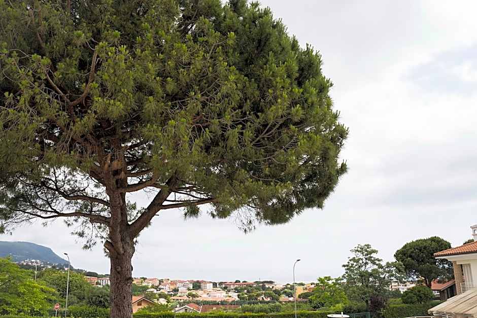 Balconi Del Conero