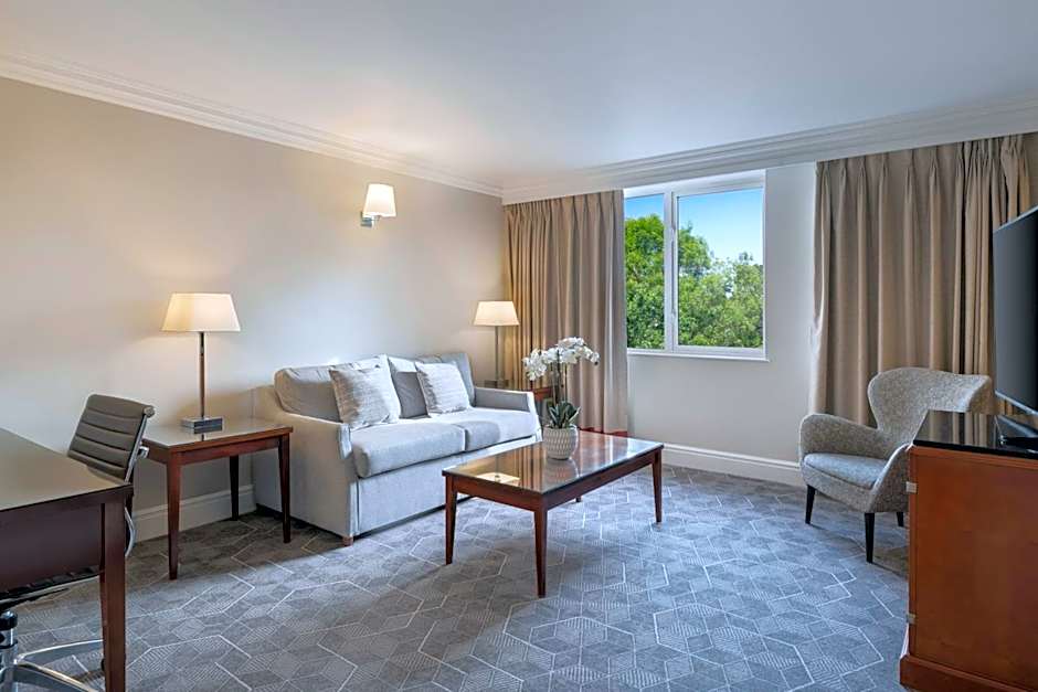 Photo 1 of 4 of 1 Queen Bed with Sofabed Suite