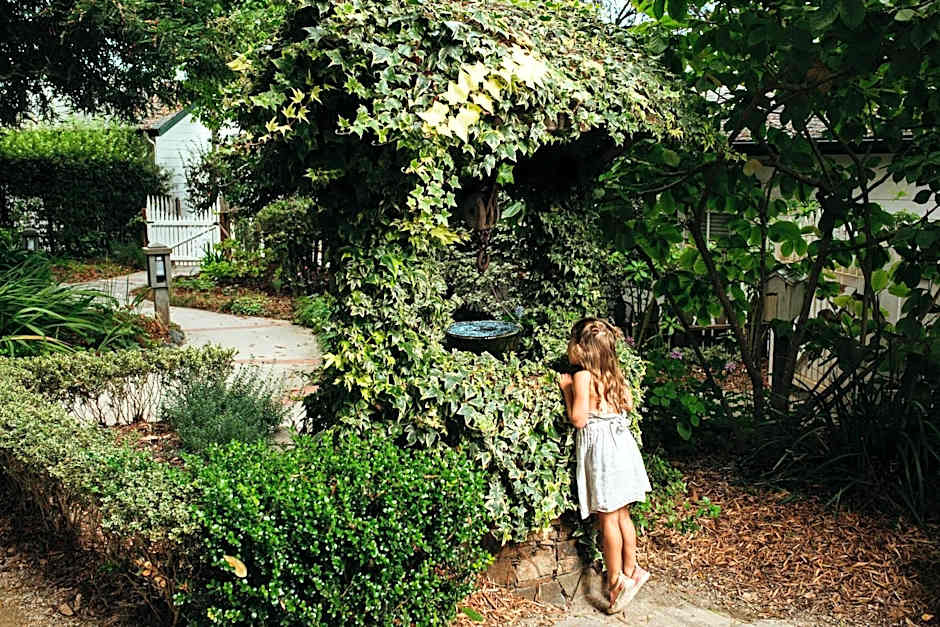 Cambria Pines Lodge