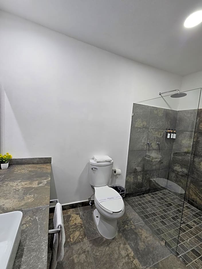 Hotel Ejecutivo Aeropuerto