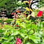 Hahndorf House B&B