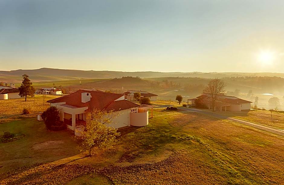 First Group Midlands Saddle and Trout