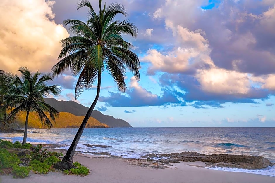 Carambola Beach Resort St. Croix, US Virgin Islands