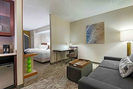 Queen Suite with Two Queen Beds, Trundle Sofa and Bathtub - Hearing Accessible/Mobility Access