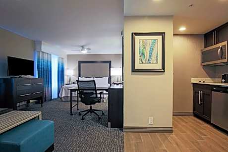 1 King Bed Studio Suite Shower Nonsmoking