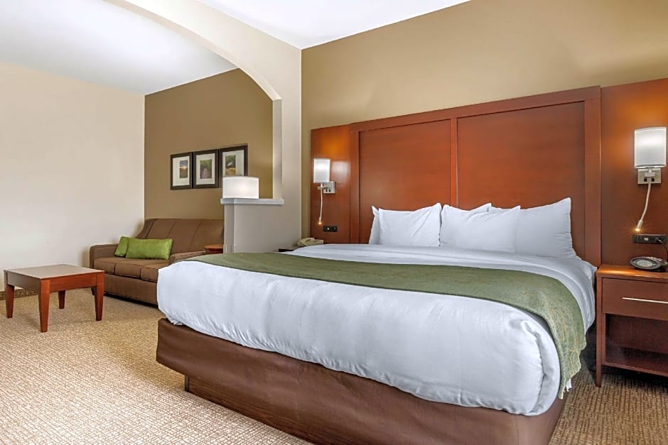 Comfort Suites Johnson City near University
