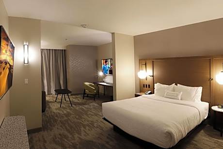 Suite, 1 King Bed with Sofa bed (1 King Bed and 1 Double Sofa Bed)