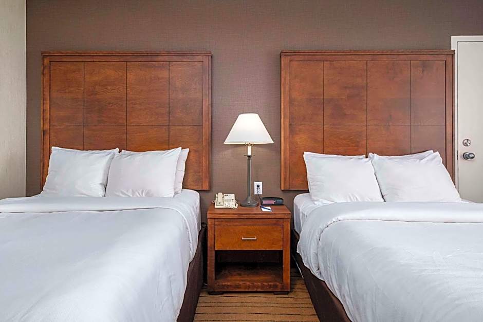 Comfort Inn - Gander