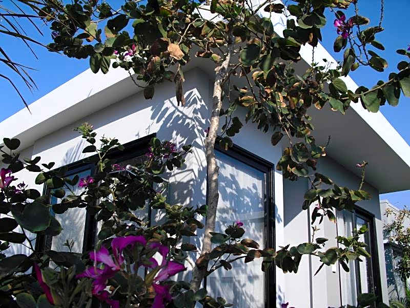 Van Nguyen Minihouse