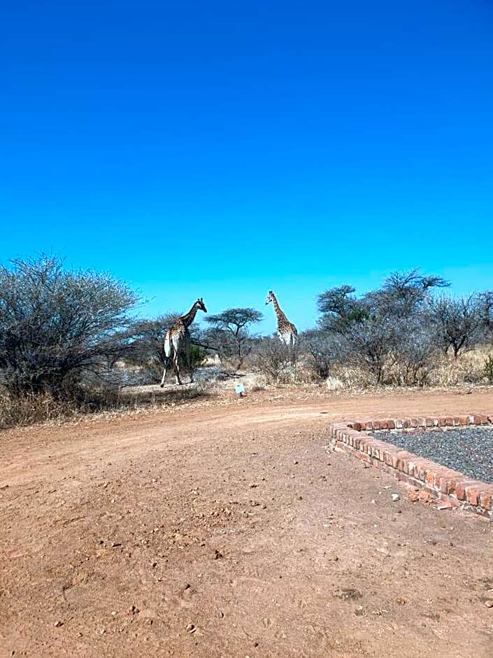 42@ Ditholo Game Lodge