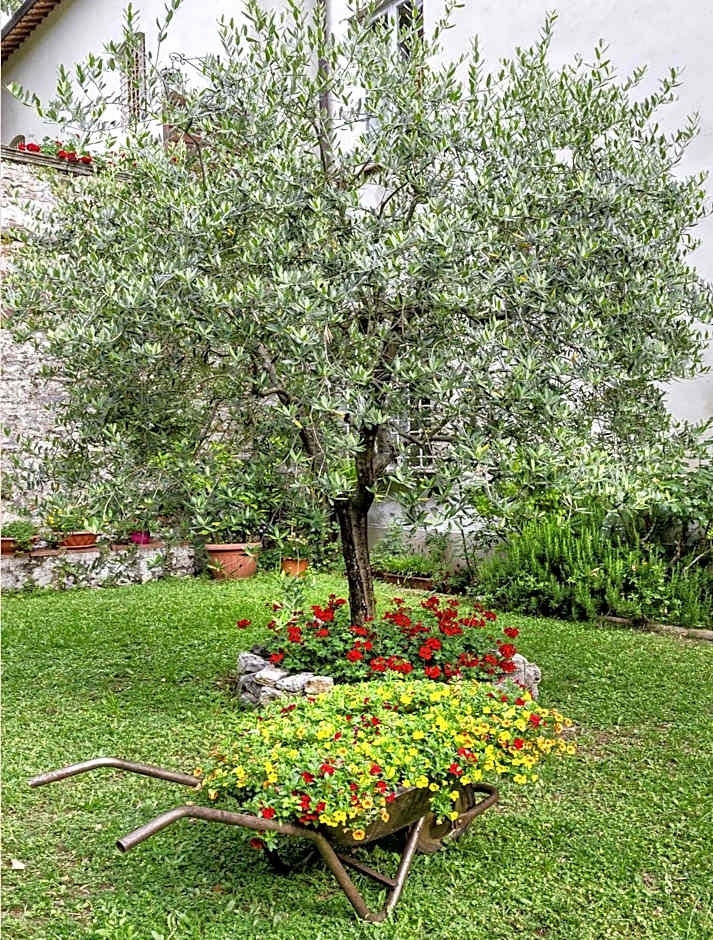 Casa Diocesana di Lucca