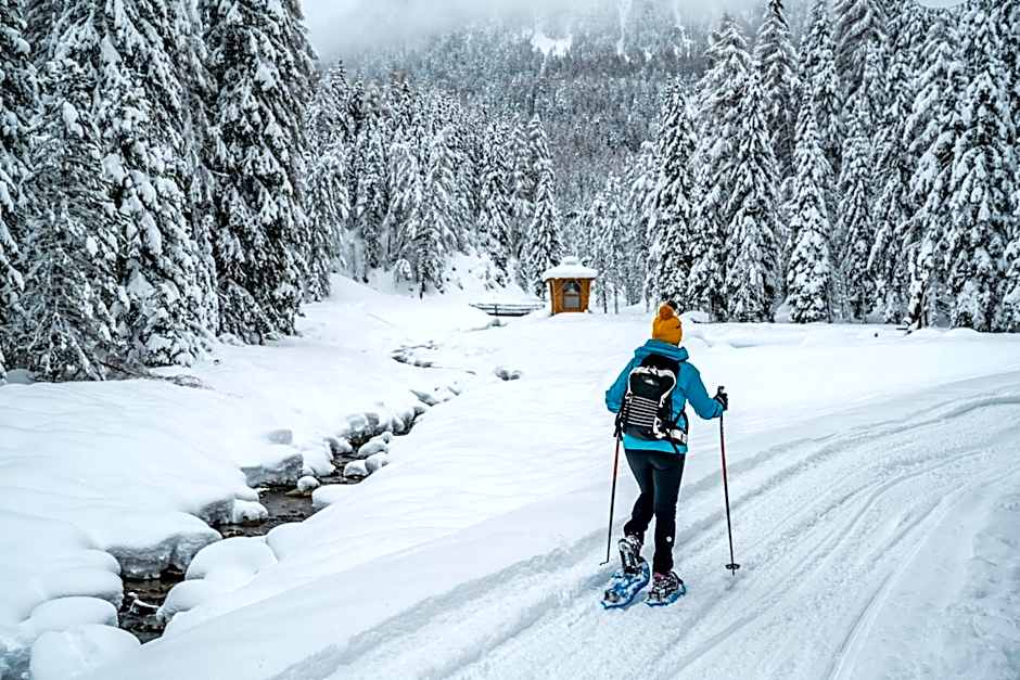 Hotel Panoramic Lotsch