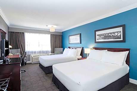 Studio Suite, 2 Double Beds, Kitchen