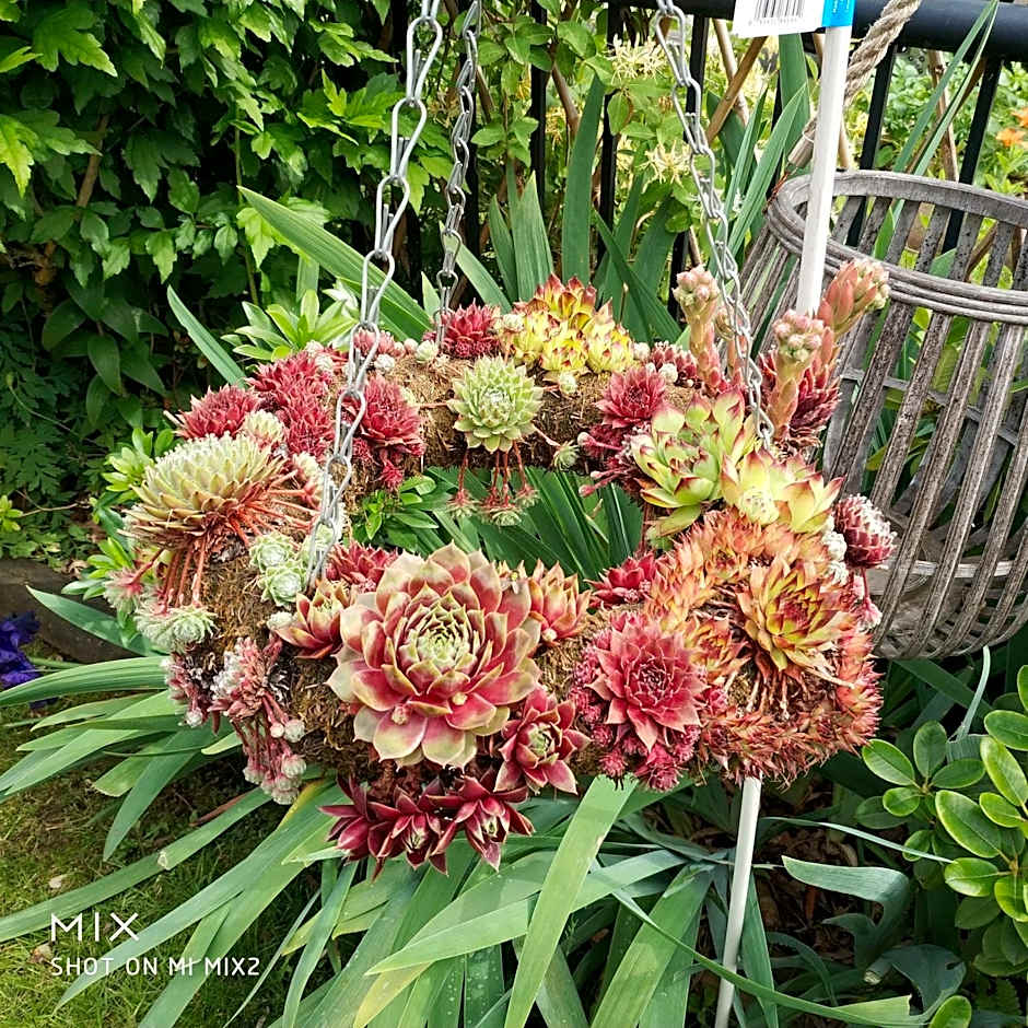 Helen's House / Close to Skytrain and Airport