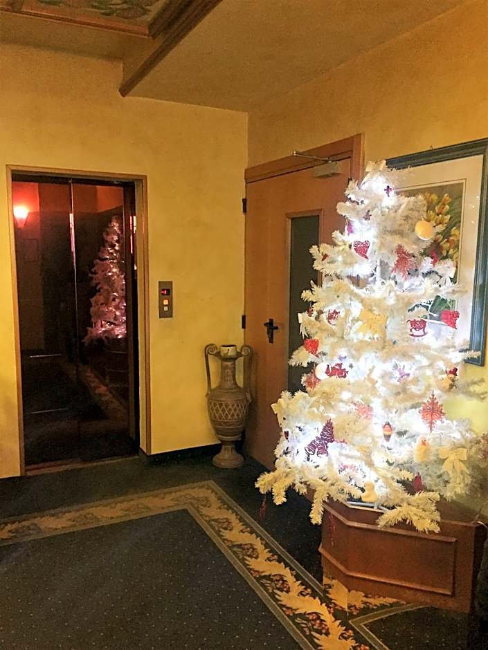 Hotel Tosa