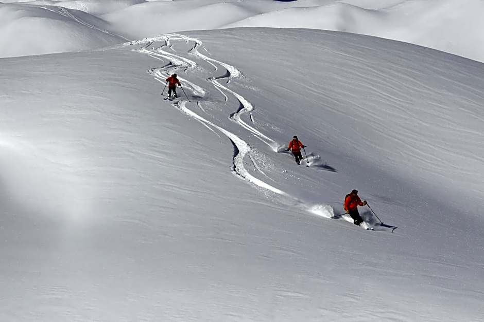 Alpina Hotel Gudauri