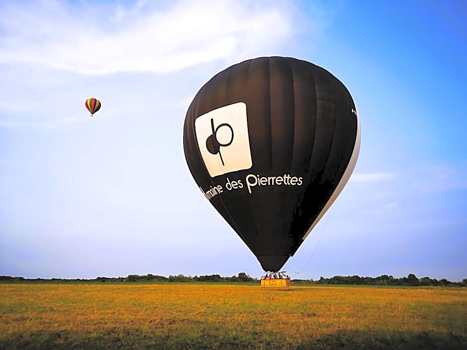 Les Eléphants bleus