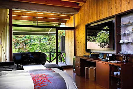 Junior Suite with Terrace