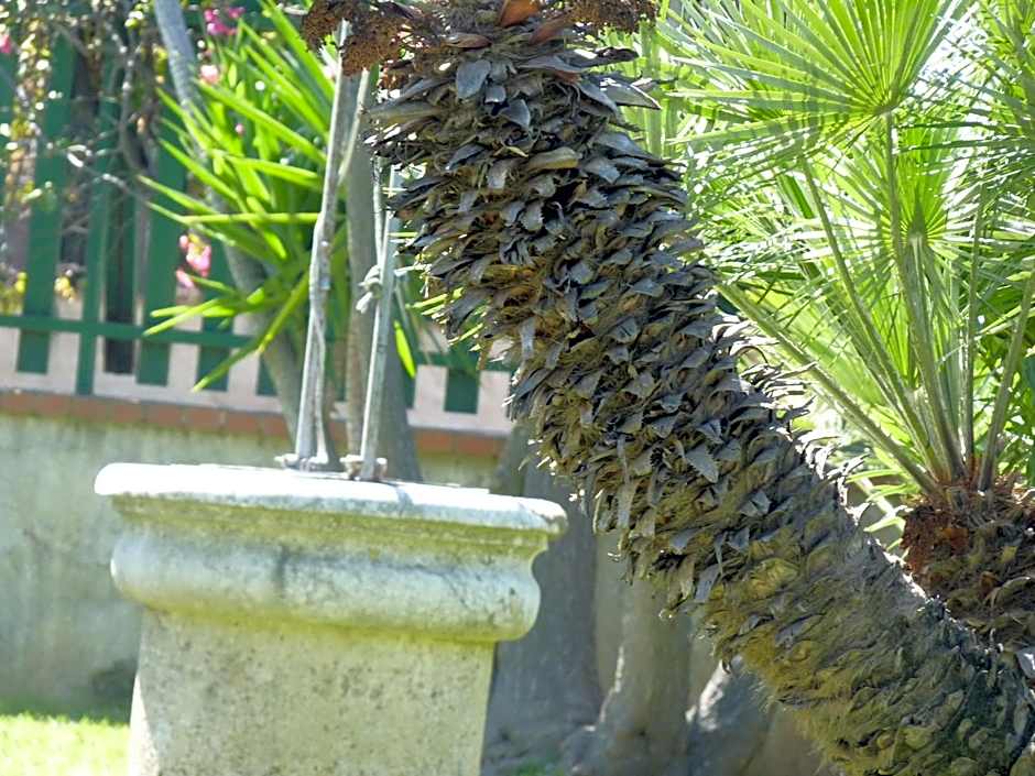 Villa Rosa Luxury Apartment