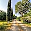 Mas la Provence