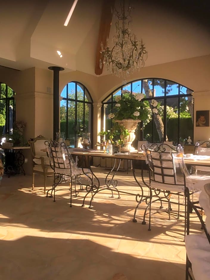 Les Prémices De La Forêt