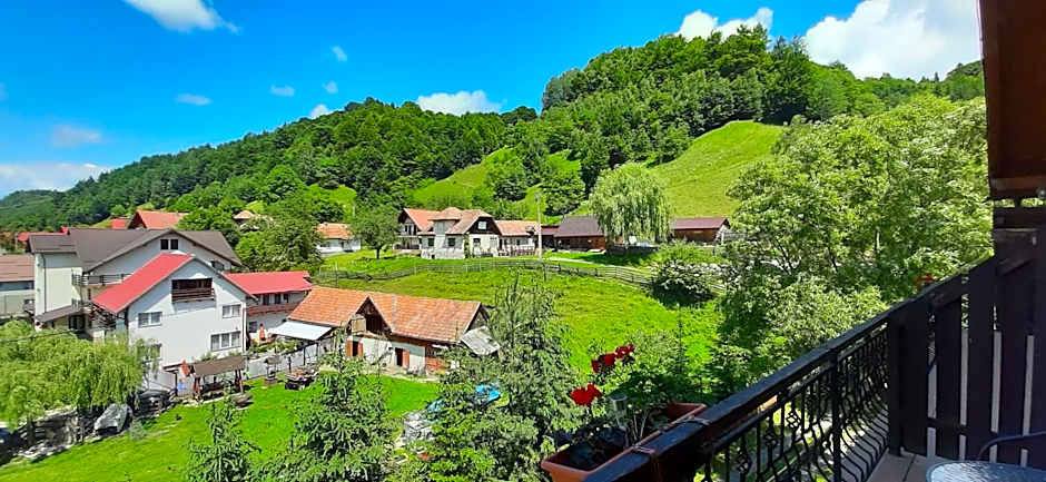 Pensiunea Montan din Bran,sat Simon SPA indoor