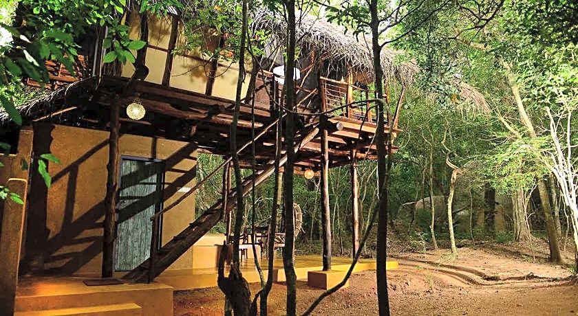 Back of Beyond Pidurangala