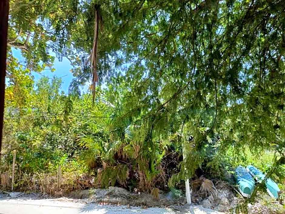 Holbox by Xaloc