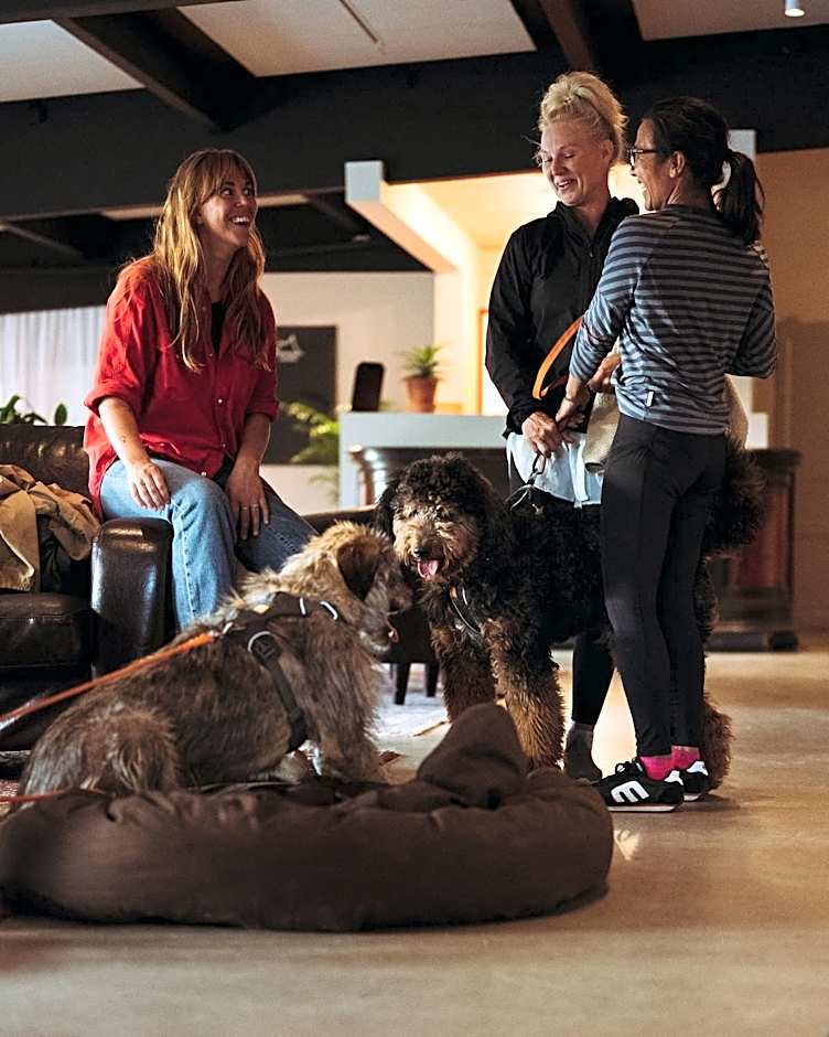 Lofsdalens Fjällhotell & Hotellbyns Lägenheter