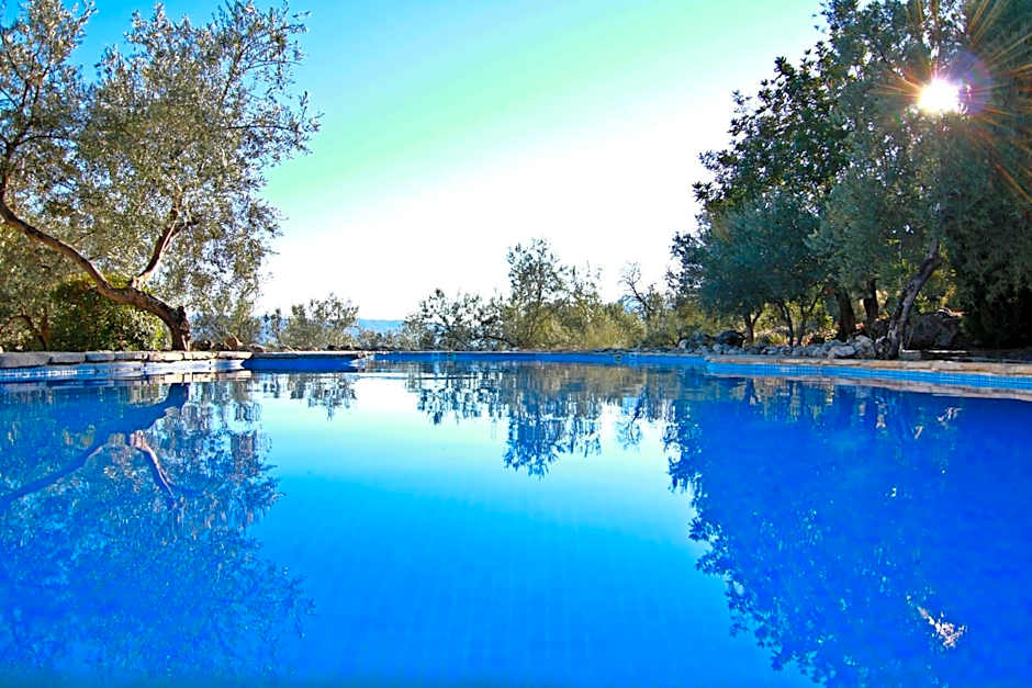 Casas Rurales Los Algarrobales