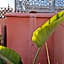 RIAD SAMAH