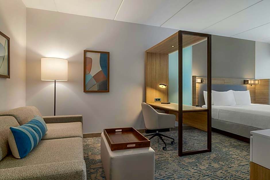 SpringHill Suites by Marriott Allentown Bethlehem/Center Valley
