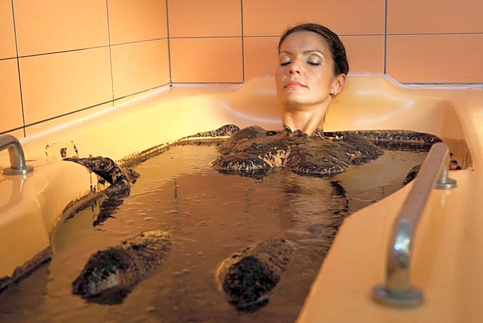 Medical SPA "Eglės sanatorija" Standard Druskininkai