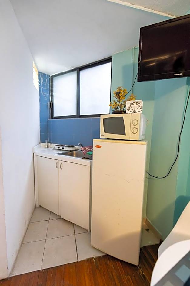 Satya Suites & Portal San Angel Flats